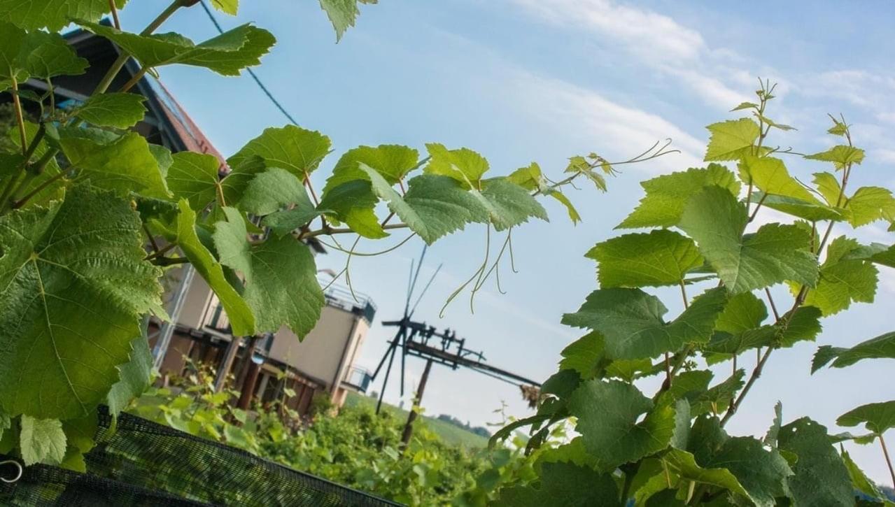 Zweytick Gaestezimmer Weingut Ratsch an der Weinstrasse Bagian luar foto