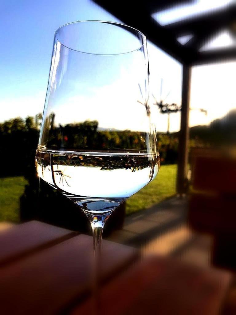 Zweytick Gaestezimmer Weingut Ratsch an der Weinstrasse Bagian luar foto