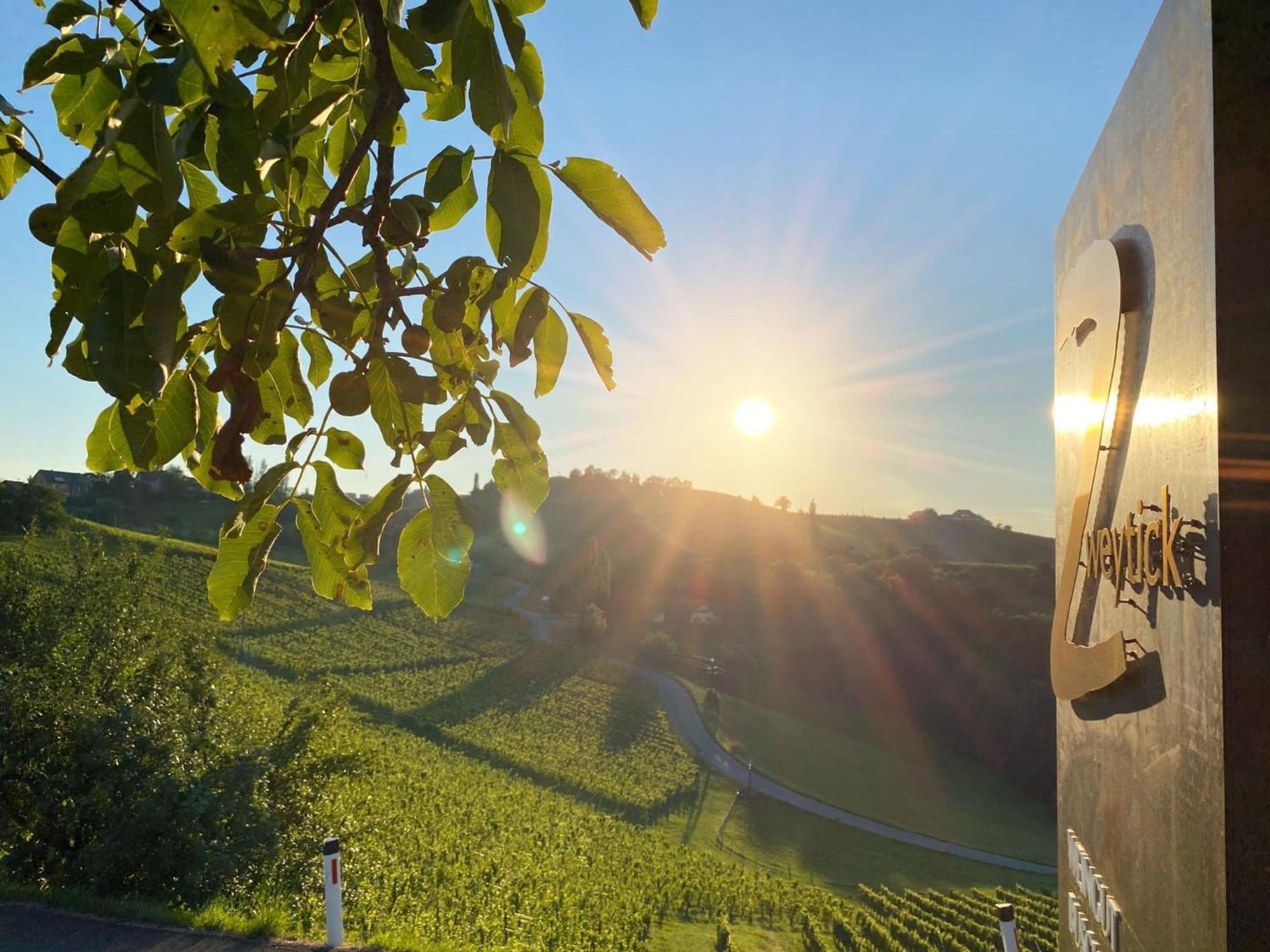 Zweytick Gaestezimmer Weingut Ratsch an der Weinstrasse Bagian luar foto