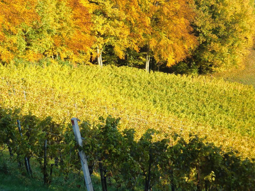 Zweytick Gaestezimmer Weingut Ratsch an der Weinstrasse Bagian luar foto