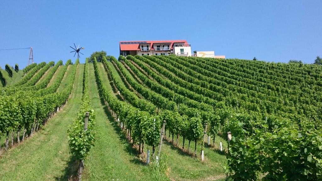 Zweytick Gaestezimmer Weingut Ratsch an der Weinstrasse Bagian luar foto