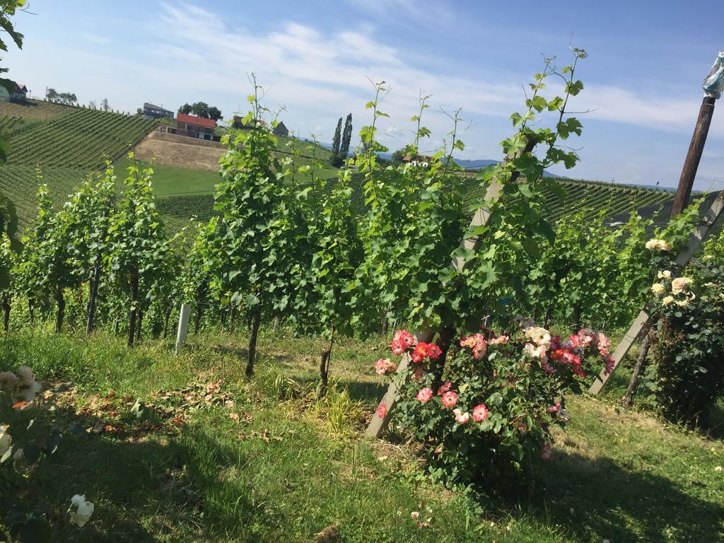 Zweytick Gaestezimmer Weingut Ratsch an der Weinstrasse Bagian luar foto