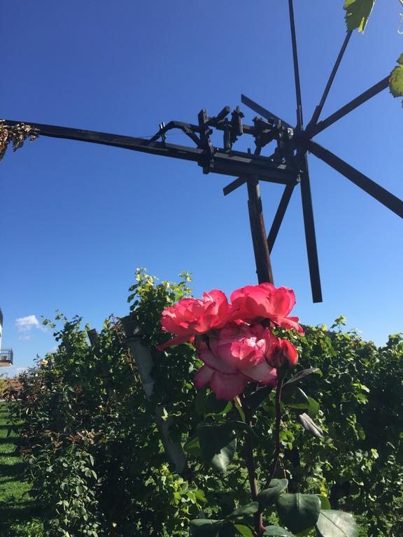 Zweytick Gaestezimmer Weingut Ratsch an der Weinstrasse Bagian luar foto